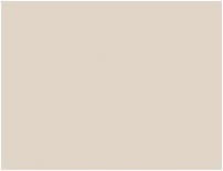 Affordable Custom Paints Perfect Beige finish sample