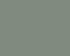 Affordable Custom Paints Willow finish sample