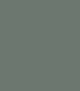 Affordable Custom Paints Green Haze finish sample