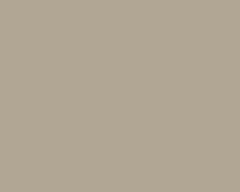 Premium Custom Color Concepts Tumbleweed finish sample